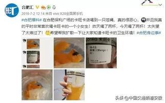 卡旺卡最新爆料,揭秘娱乐圈最新动态与幕后故事